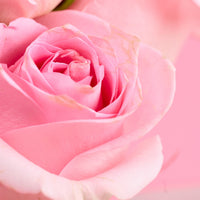 Pink Crown Roses – Arreglo Floral Signature 5,900